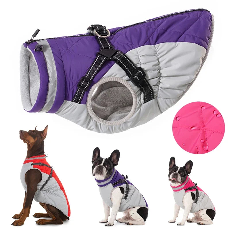 Waterproof Pet Jacket with Harness